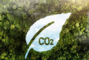 BNews Agro: Brasil pode adicionar R$ 94,8 bi ao PIB anual até 2030 com tecnologias sustentáveis, aponta estudo