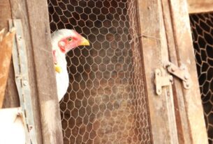 Ícone de sino para notificações