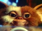 'Gremlins' ganhará novo filme após mais de três décadas - 06/11/2025 - Ilustrada