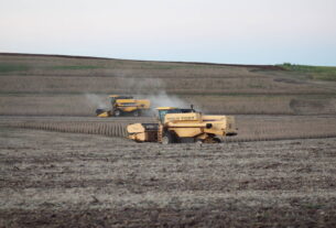 Soja: STF suspende todos os processos sobre moratória - 05/11/2025 - Mercado