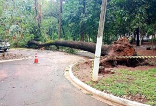 Tornado, ciclone ou furacão? Entenda diferenças entre os fenômenos