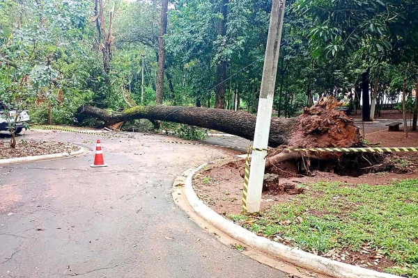 Tornado, ciclone ou furacão? Entenda diferenças entre os fenômenos