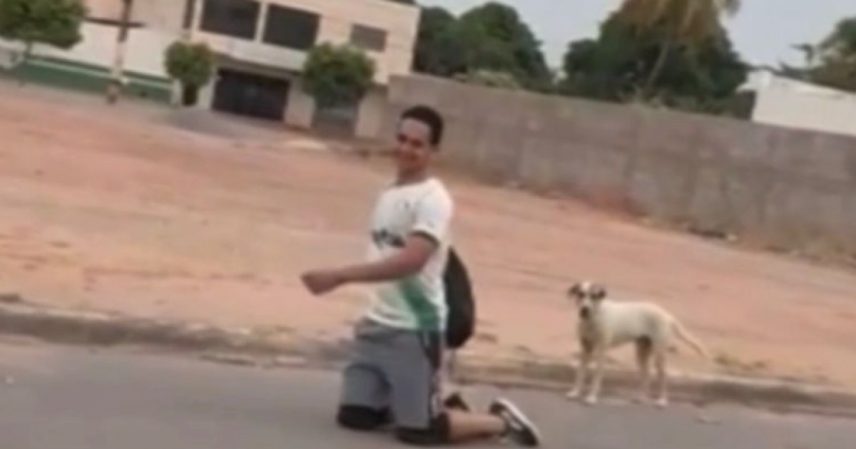 VÍDEO: Estudante percorre 4 km de joelhos após classificação do Palmeiras na Libertadores