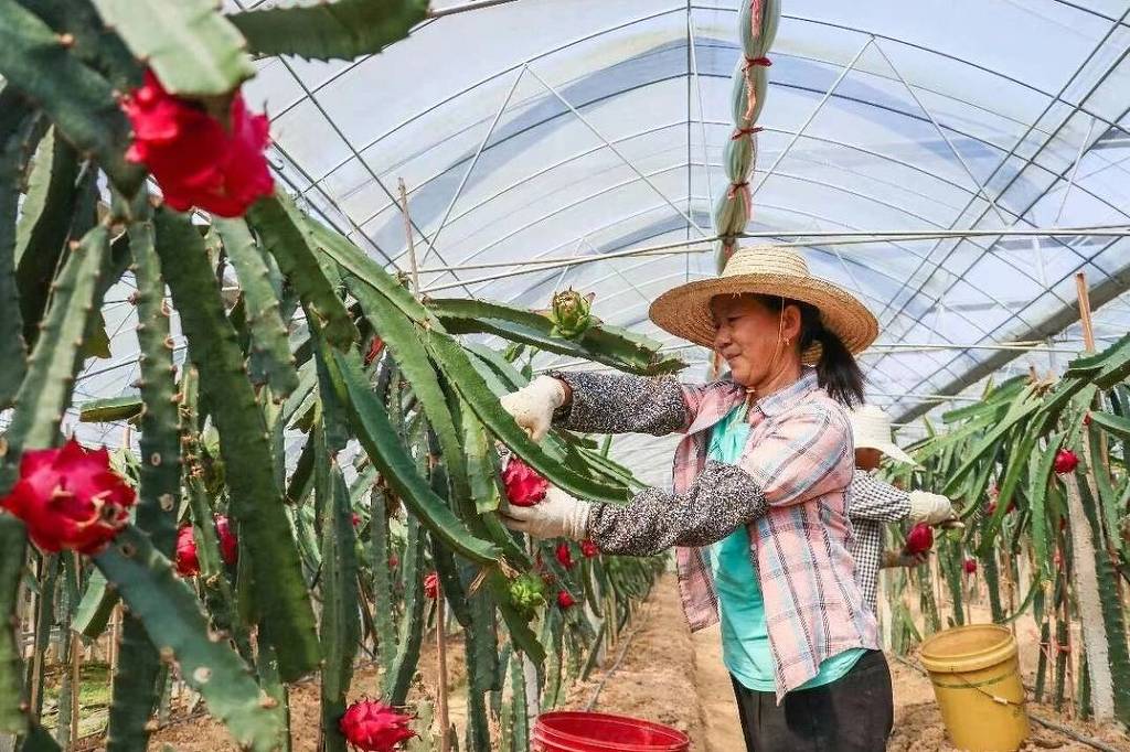 Vila na China abandonou mineração para ser carbono zero - 03/11/2025 - Mercado