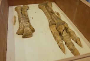 Ícone de sino para notificações