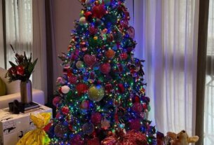 Saiba por que a árvore é um dos símbolos mais importantes do Natal - destaque galeria