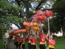 Nove pessoas vestindo camisetas vermelhas e faixas amarelas executam dança do dragão em caminho de parque com árvores e gramado. Dragão vermelho e amarelo é sustentado por varas, com uma participante segurando uma esfera vermelha na frente.