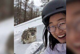 Ícone de sino para notificações