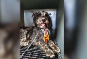 Ícone de sino para notificações