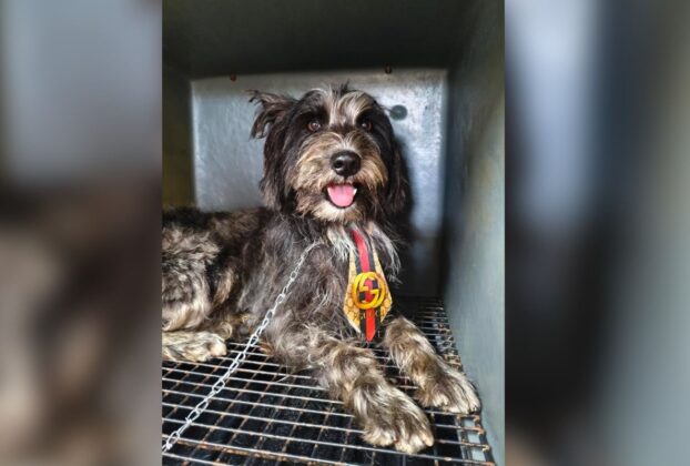 Ícone de sino para notificações