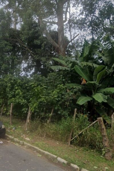 Ícone de sino para notificações