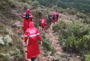 Ícone de sino para notificações